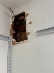 Removing Yellow Jackets From the Closet in Neptune, NJ