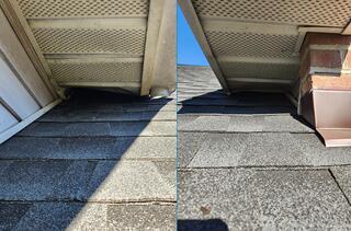 Fixing Up what the Raccoons Damaged in Avenel, NJ