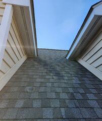 Fixing Up what the Raccoons Damaged in Avenel, NJ