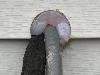 Being Proactive to Prevent Rodents from Infesting Home in Sewaren, NJ