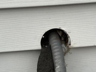 Being Proactive to Prevent Rodents from Infesting Home in Sewaren, NJ