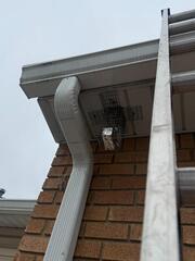 Retrieving a Squirrel and Fixing the Damages in Monmouth Junction, NJ