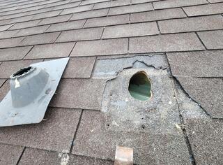 Squirrels Use Forgotten Vent Pipe to Infest Home in Avon By The Sea, NJ