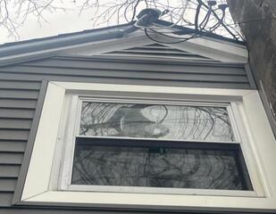 Denying Squirrels Access Into the Attic in Belle Mead, NJ