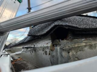 The Builder's Gap Allows Squirrels to Infest Home in Beachwood, NJ