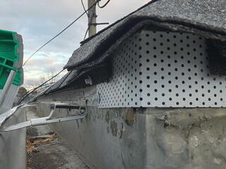 The Builder's Gap Allows Squirrels to Infest Home in Beachwood, NJ