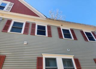 Condo Experiencing Problem with Starlings in Hightstown, NJ