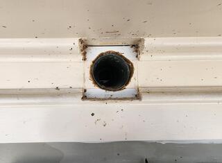 Keeping the Starlings Out of the Exhaust Vents in Lawrenceville, NJ