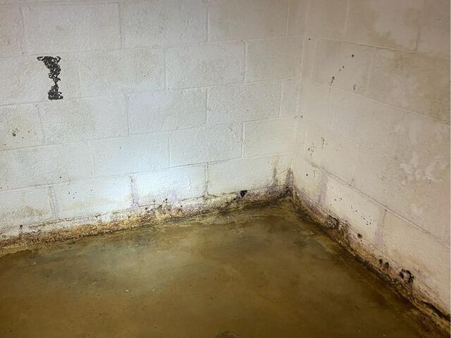 Basement Waterproofing in Rocky Top, TN - Before Photo