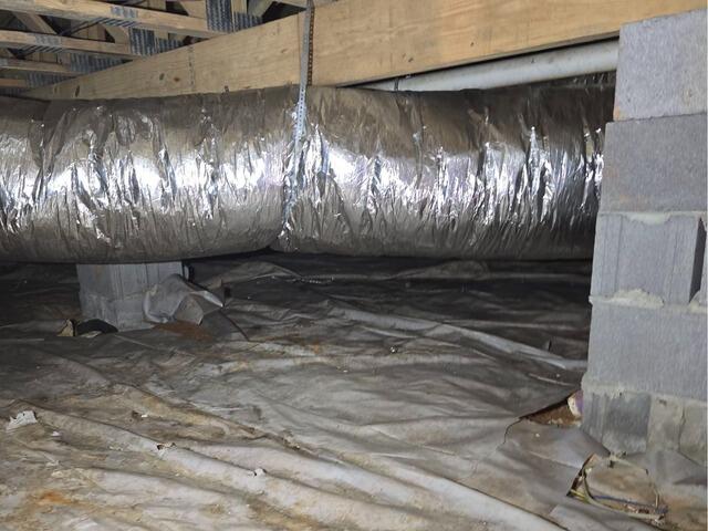 Crawl Space Encapsulation in Morristown, TN - Before Photo