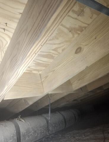 Mold Removal in Knoxville, TN - After Photo