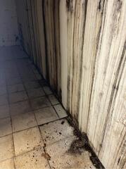 Basement Waterproofing in Honaker, VA