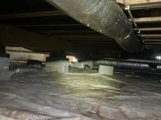 Mold Removal in Cleveland, TN