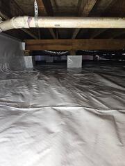 Mold Removal in Cleveland, TN