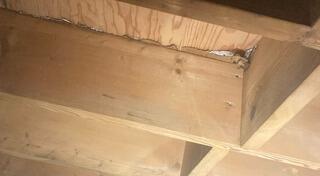 Mold Removal in Bluff City, TN