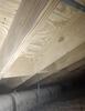 Mold Removal in Knoxville, TN