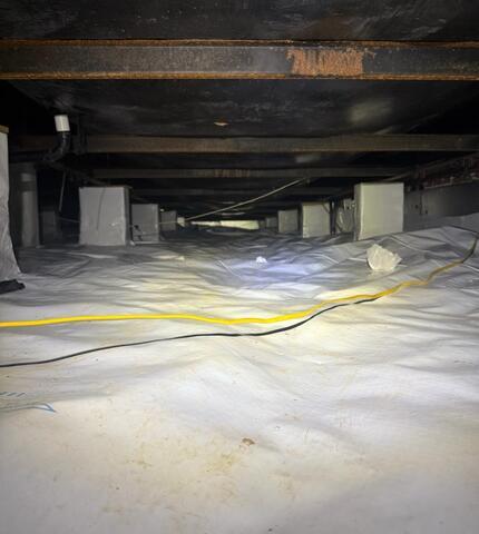 Crawlspace Mold Remediation Brings Relief to Burlison, TN Family Battling Health Concerns