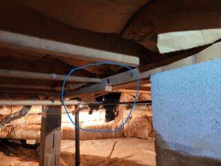 Damaged Crawl Space in Little Rock