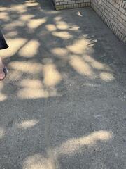 Crawl Space Repair and Concrete Leveling in Little Rock, AR