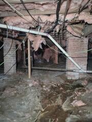 Crawl Space Encapsulation in Little Rock Protects 100-Year-Old Home from Moisture and Mold