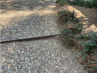 Driveway Leveling and Water Control in Little Rock, AR Restores Safety and Home Value