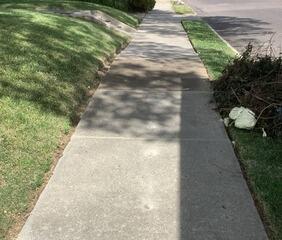 Uneven Sidewalk Repair Without Tree Removal in Memphis, TN