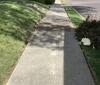 Uneven Sidewalk Repair Without Tree Removal in Memphis, TN