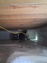 Clean Space Encapsulation in Pearcy Arkansas