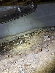 Wet Crawl Space Repair in Farmington, AR