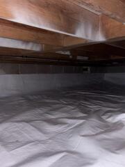 Vapor Barrier in Fayetteville, Arkansas