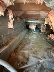 Crawl Space Repair in Garfield, AR