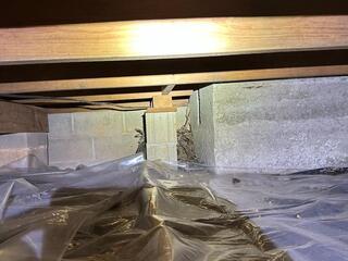 Wet Crawl Space Repair Mt. Ida, AR