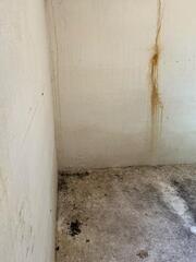 Basement Repair in Stamps, AR