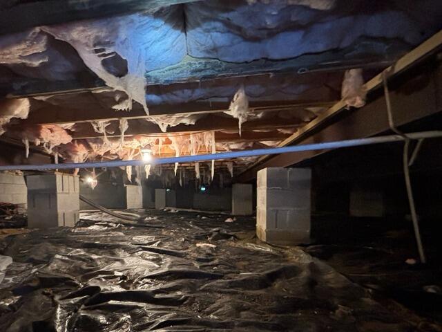 Wet Crawl Space Repair in Nettie, WV - Before Photo