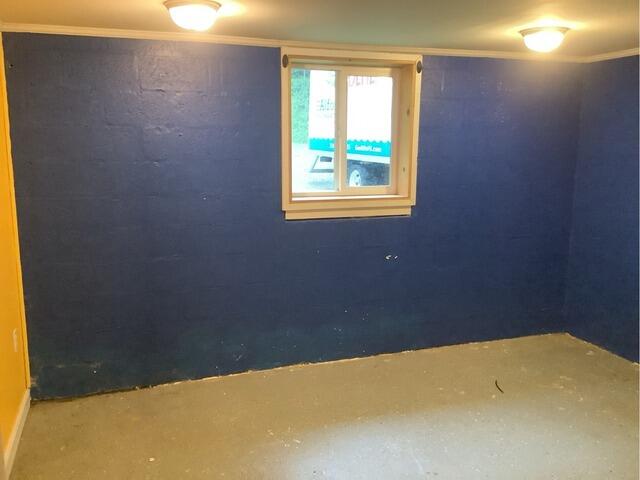 Mold-Resistant Wall Panel Installation in Hardy, KY - Before Photo