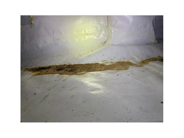 Encapsulating Crawl Space With CleanSpace in Lumberton, NC - Before Photo