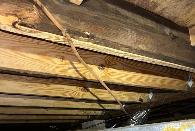 Sistering Joists in Crawl Space For Optimal Stabilization in Magnolia, NC - After Photo