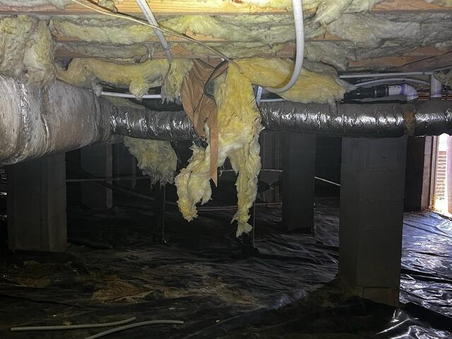 Crawlspace Encapsulation - Before Photo