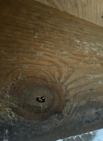 Soda Blasting for Mold Removal in Dunn, NC - 