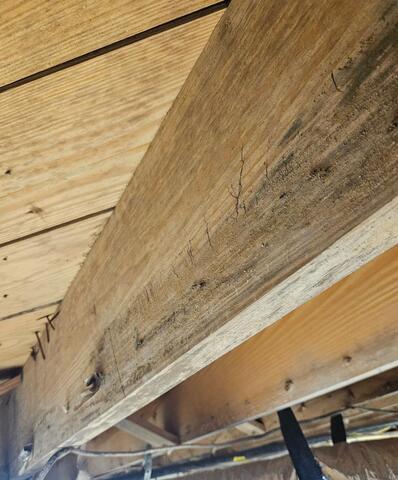 Soda Blasting for Mold Removal in Dunn, NC - 