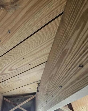 Soda Blasting for Mold Removal in Dunn, NC