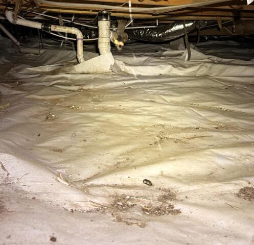 Crawl Space Encapsulation in Stedman, NC - Before Photo