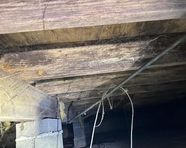 Soda Blasting Technique for Mold Removal in Autryville, NC - Before Photo