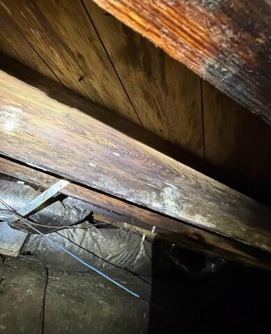 Replacing Sister Joists in a Crawl Space in Goldsboro, NC - Before Photo