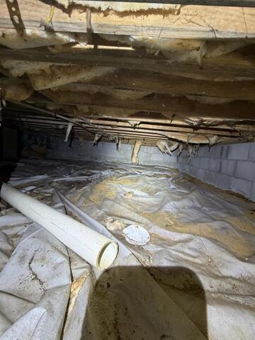 Crawl Space Encapsulation in Newport, NC - Before Photo