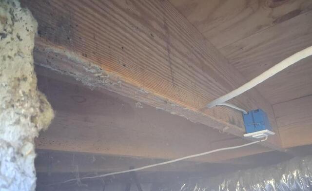 Mold Removal in Jacksonville, NC - Before Photo