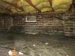 Transforming a Crawl Space in Jacksonville, NC