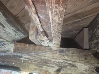 Insulating Crawl Space Walls in Smyrna, NC