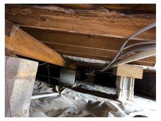 Reliable Crawl Space Support System Installation in Snow Hill, NC