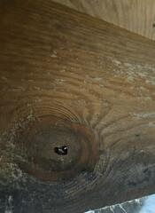 Soda Blasting for Mold Removal in Dunn, NC